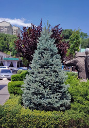 Similar image 22349769