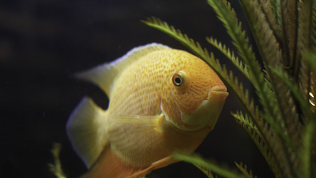 Similar image 22351536