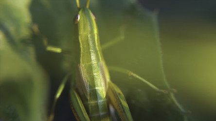 Similar image 22353990