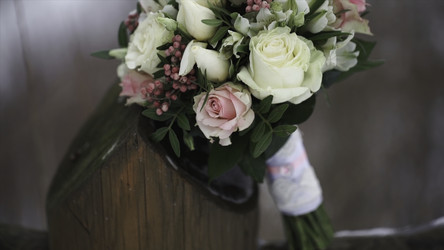 Similar image 22367120