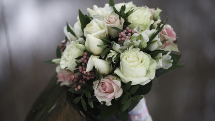 Similar image 22367137