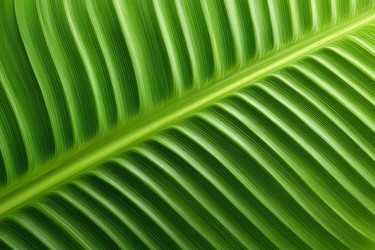 Similar image 22350914