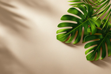 Similar image 22354321