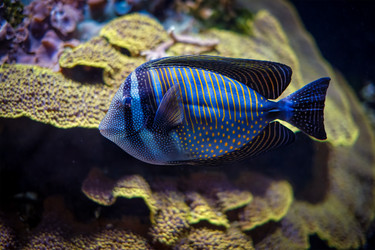 Similar image 22382123