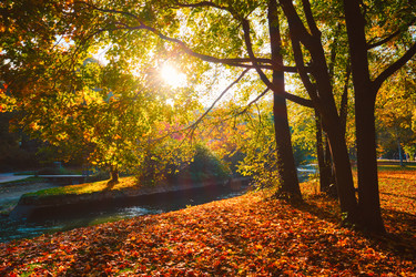 Similar image 22382143