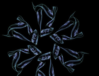 Similar image 22351848