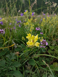 Similar image 22349748