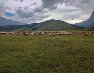 Similar image 22349786