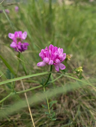 Similar image 22349795