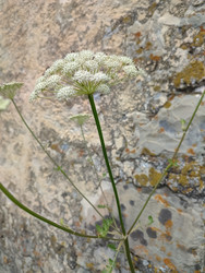 Similar image 22349816