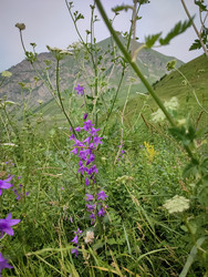 Similar image 22349831