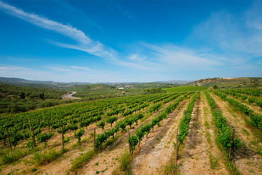 Similar image 22382216