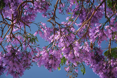 Similar image 22382262