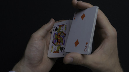 Similar image 22370002