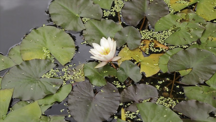 Similar image 22370522