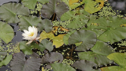 Similar image 22370523