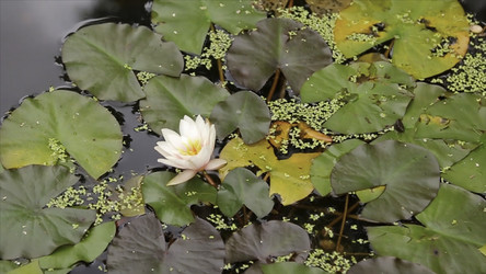 Similar image 22370536