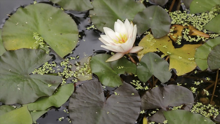 Similar image 22370551