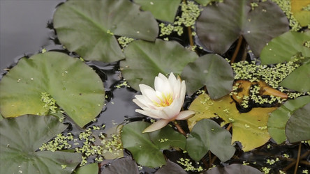 Similar image 22370552