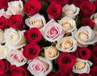 Similar image 22377006