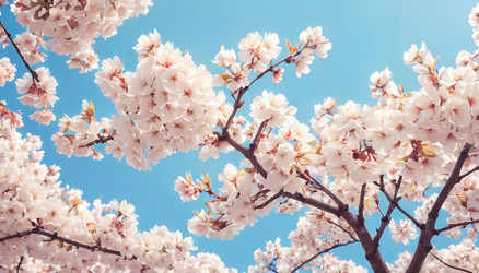 Similar image 22377080