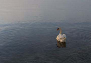 Similar image 22349879