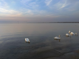 Similar image 22349883