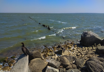 Similar image 22349885