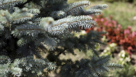 Similar image 22370247