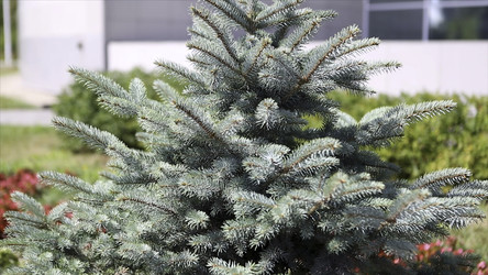 Similar image 22370379