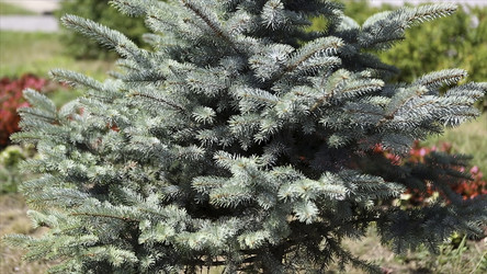 Similar image 22370455