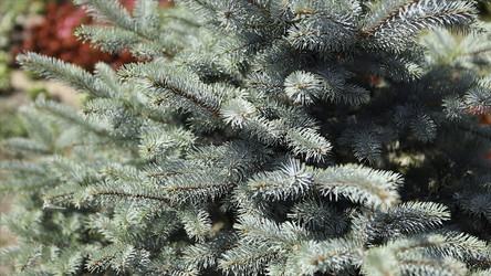 Similar image 22370468