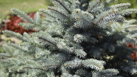 Similar image 22370469