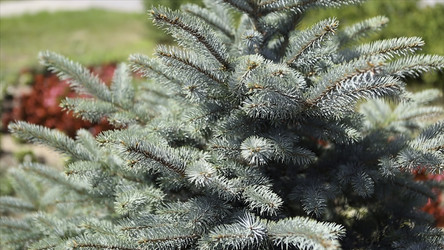 Similar image 22370480