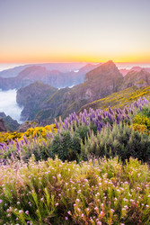 Similar image 22382128