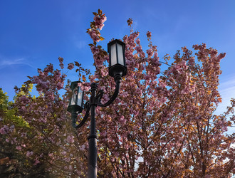 Similar image 22349817