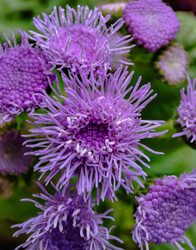 Similar image 22349835