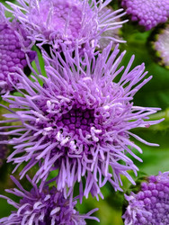 Similar image 22349838