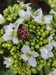 Similar image 22349841