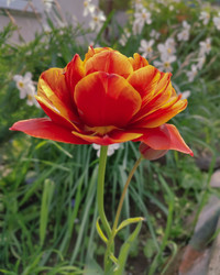 Similar image 22349844