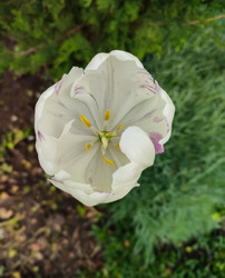 Similar image 22349847