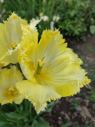 Similar image 22349850