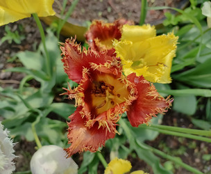 Similar image 22349853