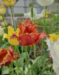 Similar image 22349855