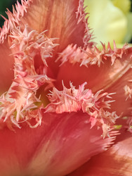 Similar image 22349858