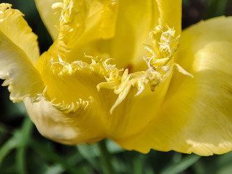 Similar image 22349862