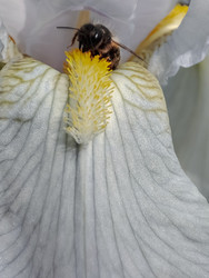 Similar image 22349864