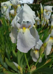 Similar image 22349865