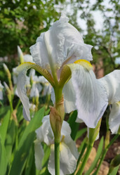 Similar image 22349867