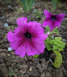 Similar image 22349868